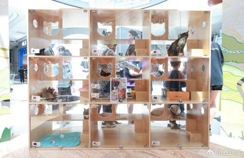 霸王茶姬 以寵粉文化用品，打造情感鏈接新標桿